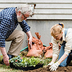 Older man and women planting in a garden