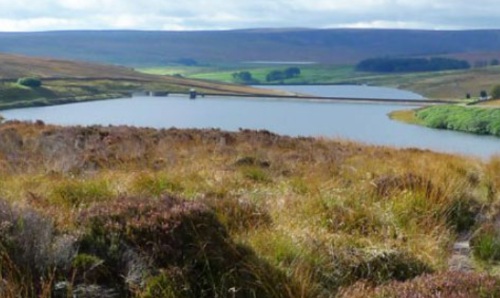 A lake in the countryside